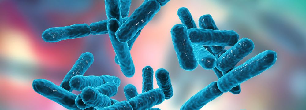 Medical illustration of helpful gut bacteria illustrate the role of the living bacteria in out intestine